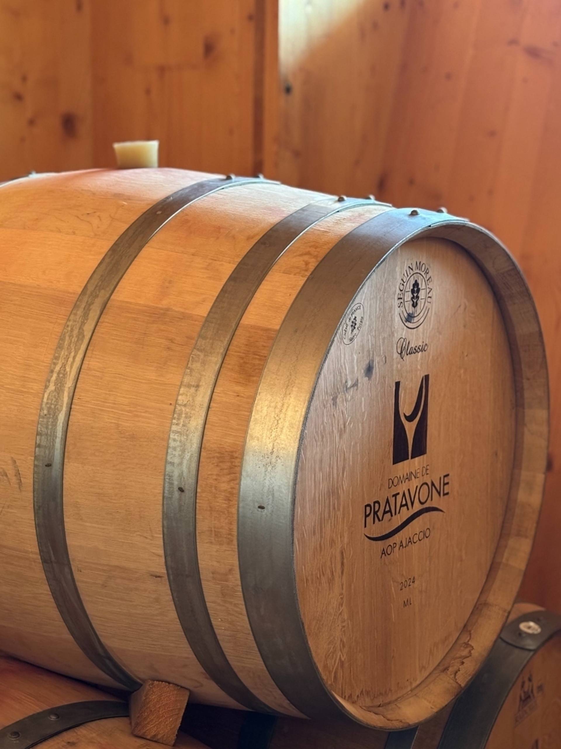 From Cellar to Glass