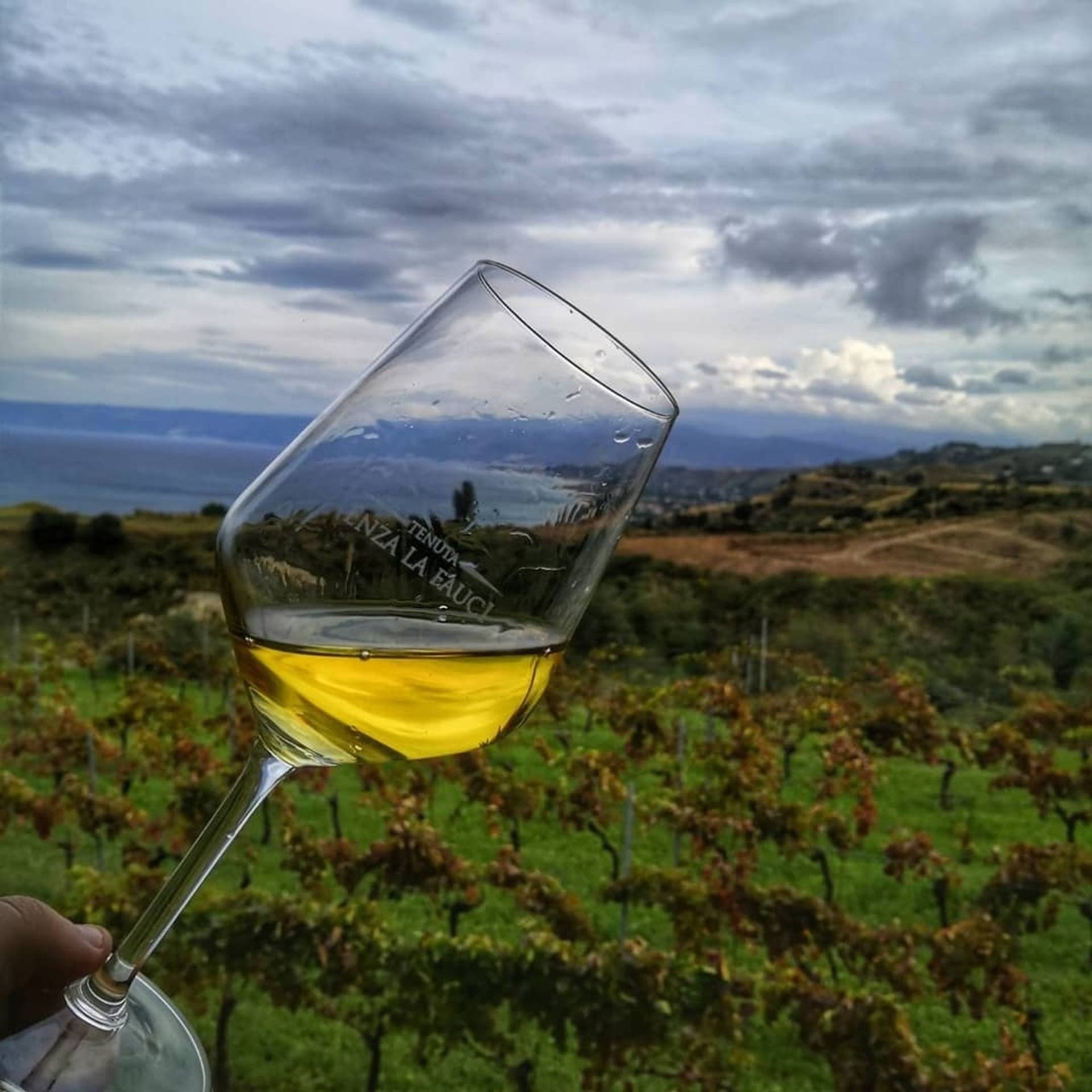 TENUTA ENZA LA FAUCI