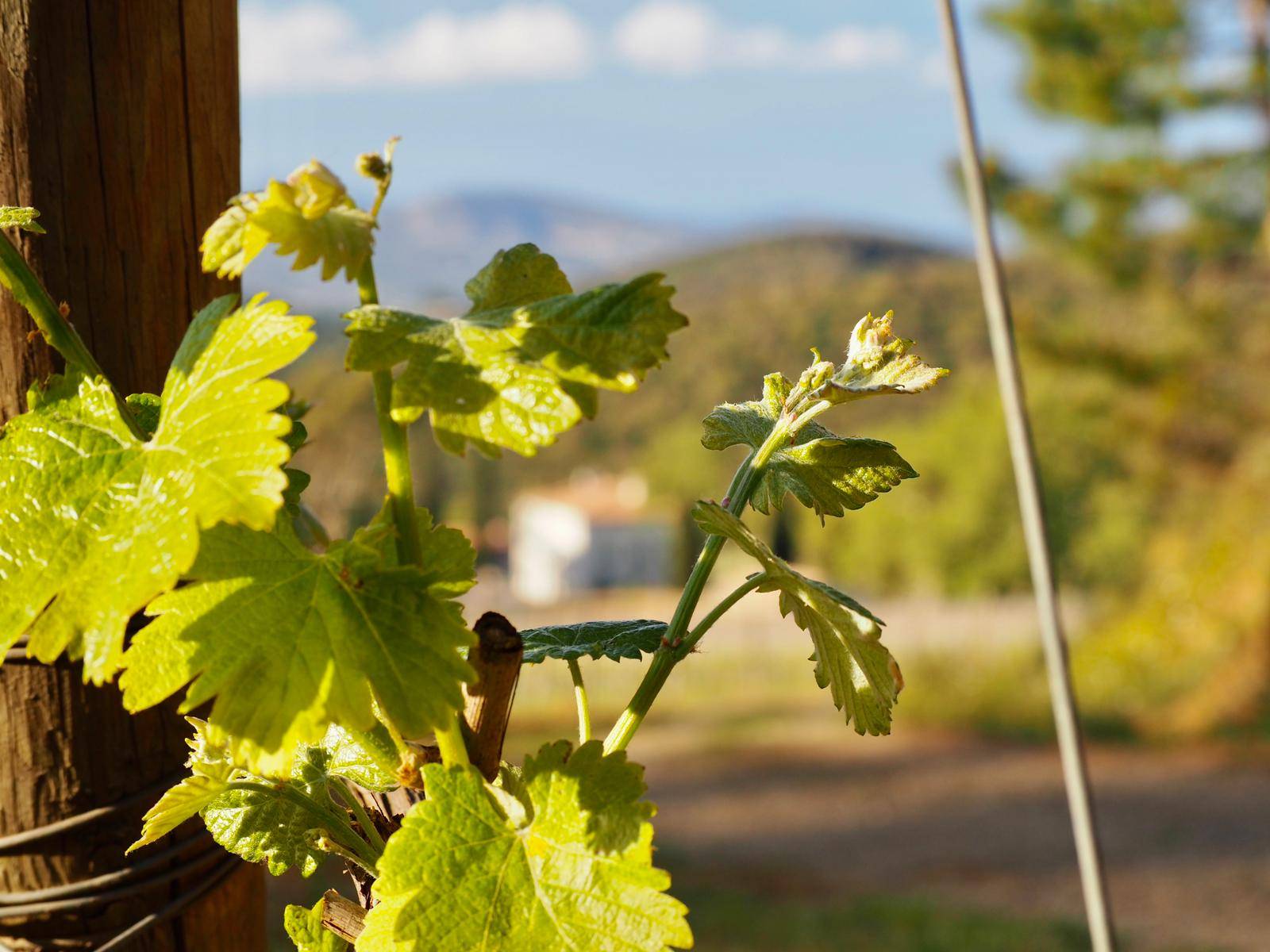 Immersive visit with our Head of Culture