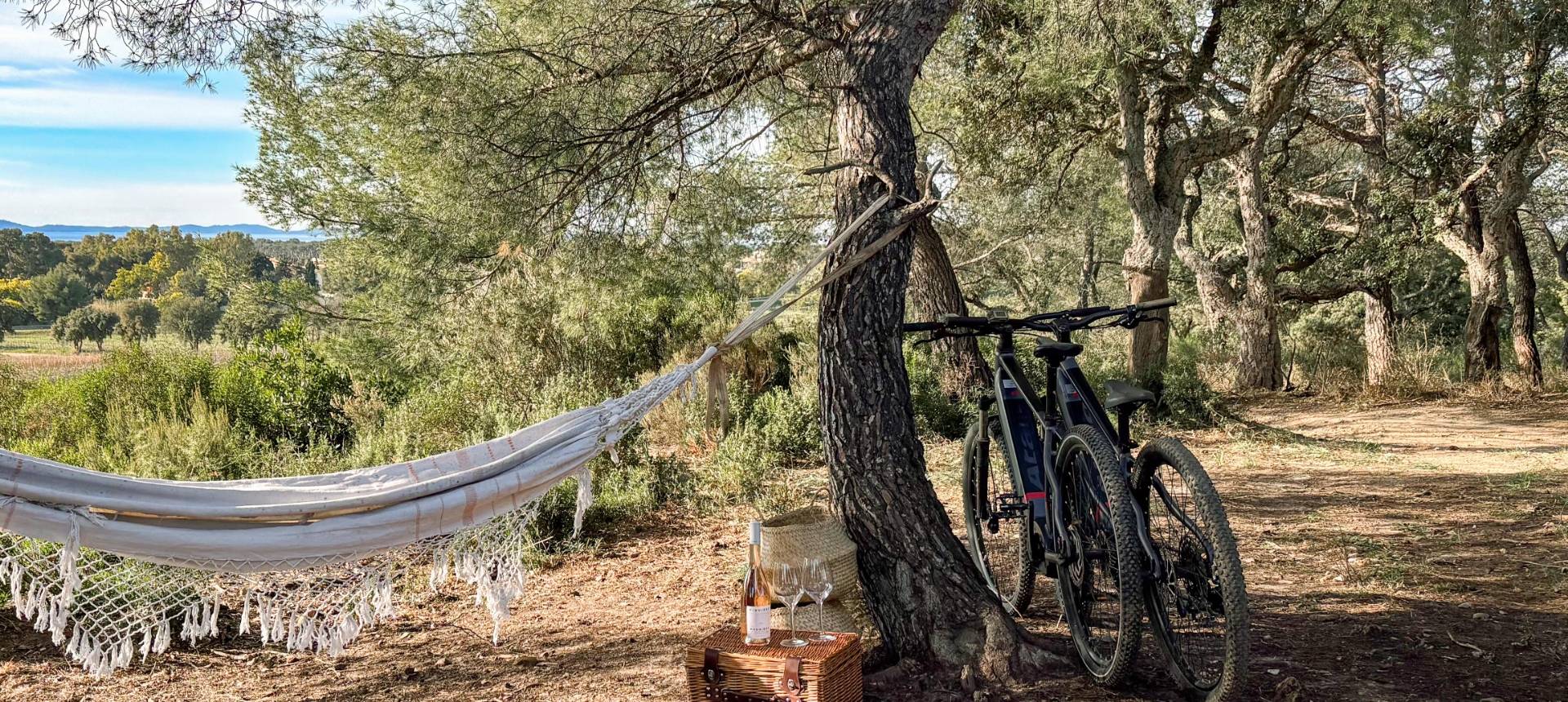 Mountain bike getaway in the heart of the vineyard (Electric Assist)