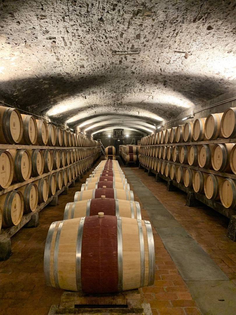 Discovering Frescobaldi wines