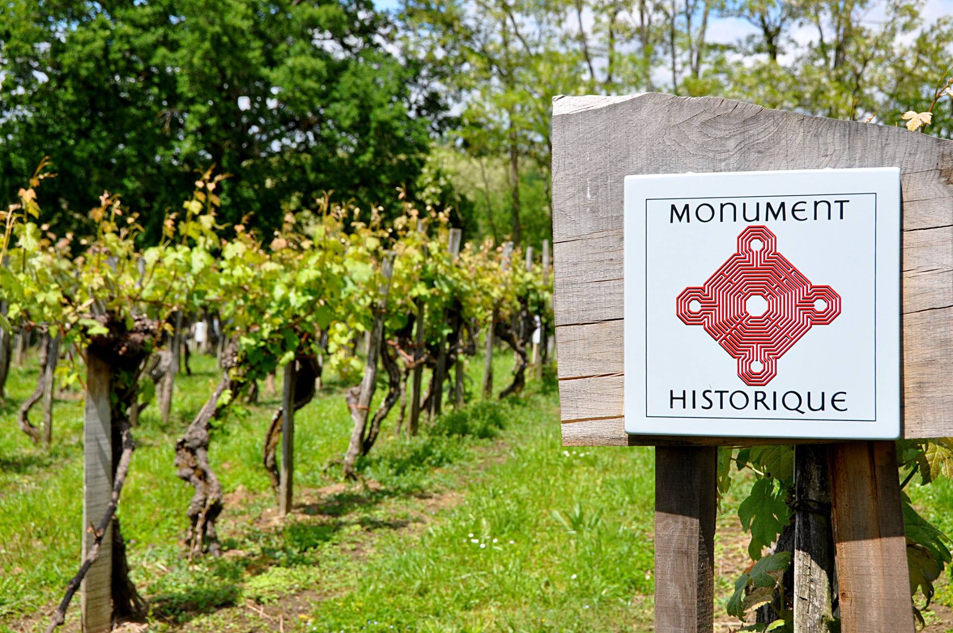 A vineyard listed in the Historic Monuments