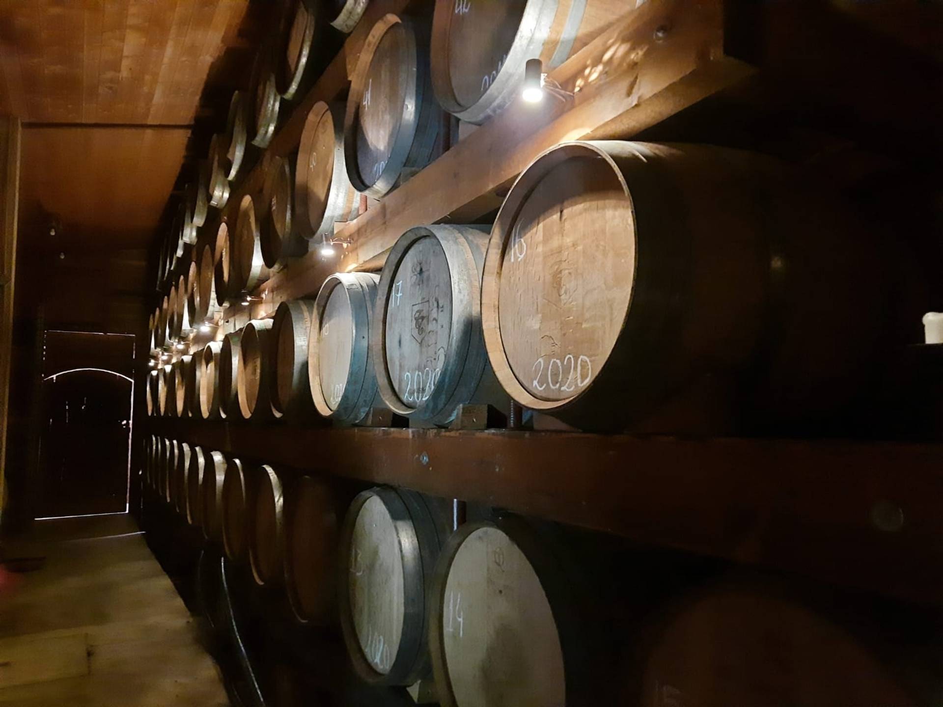 Visit to the cellar with tasting