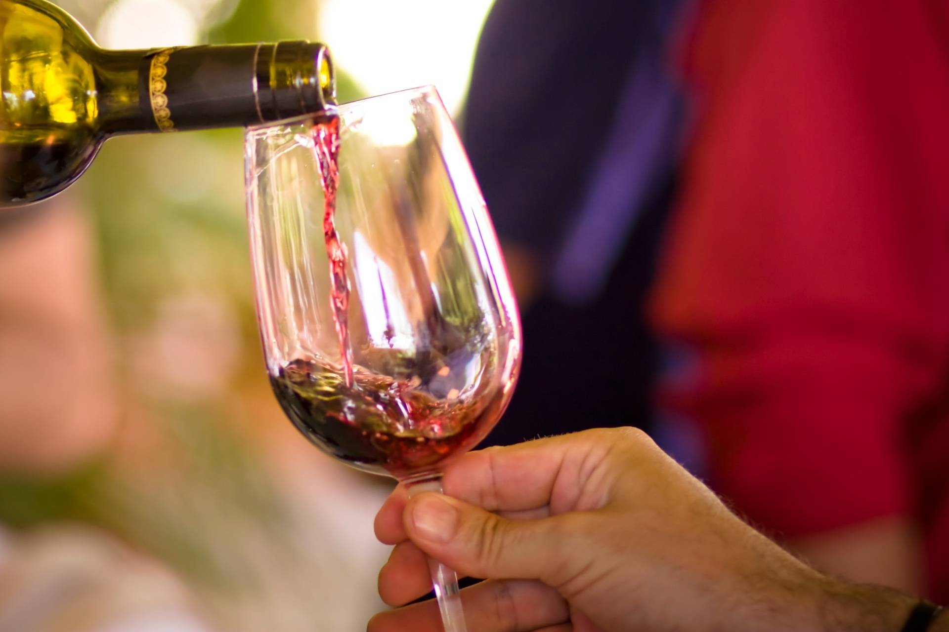 Alessandro di Camporeale Wine Tour