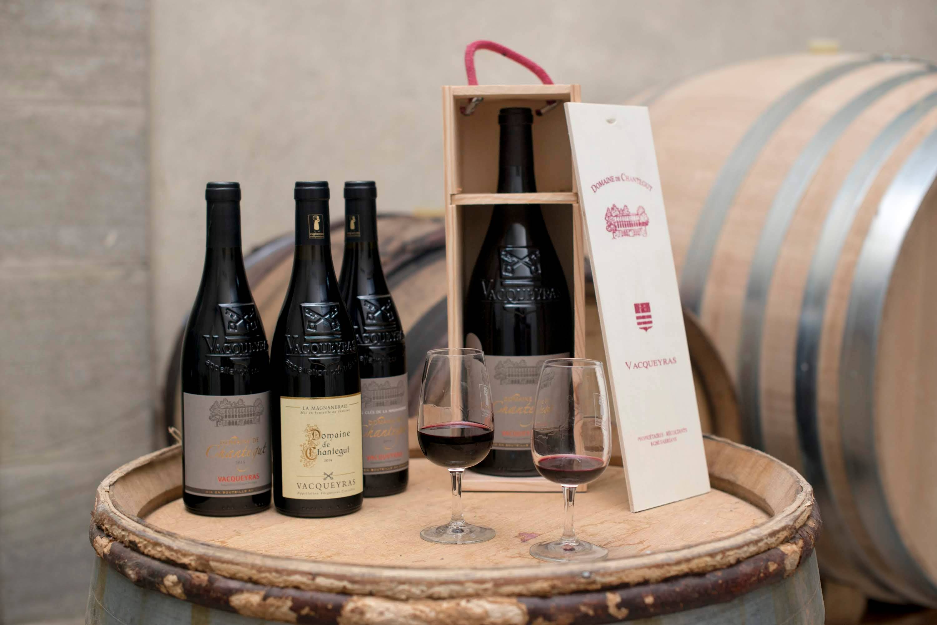 Tasting and visit at the Domaine