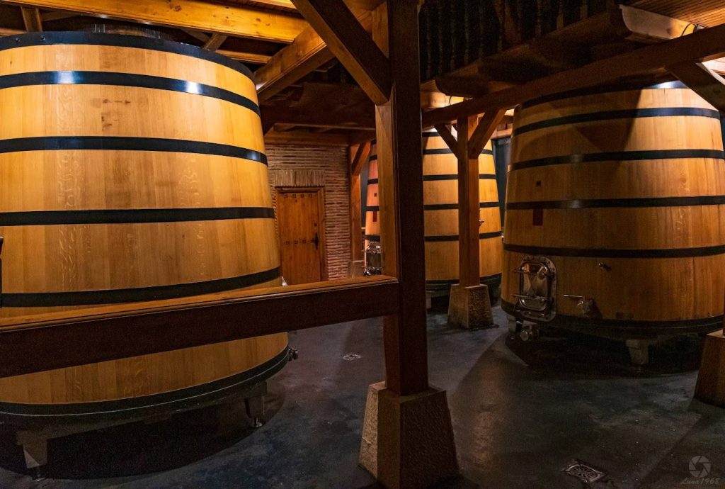 Bike ride and wine tasting