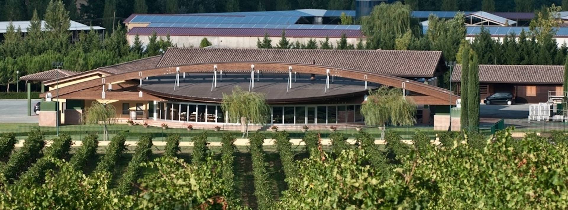 CANTINA MONTE VIBIANO