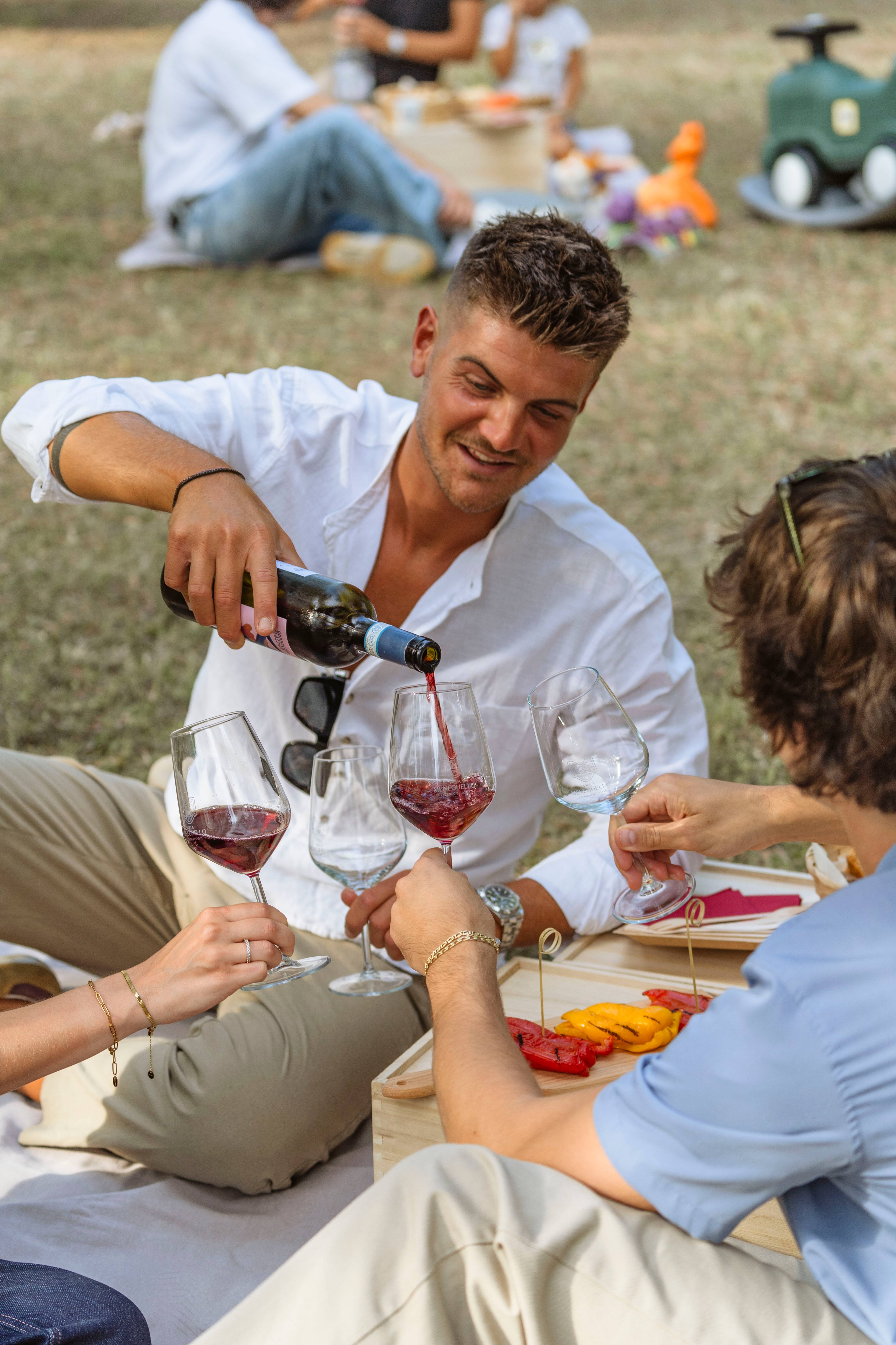 Picnic in the olive grove