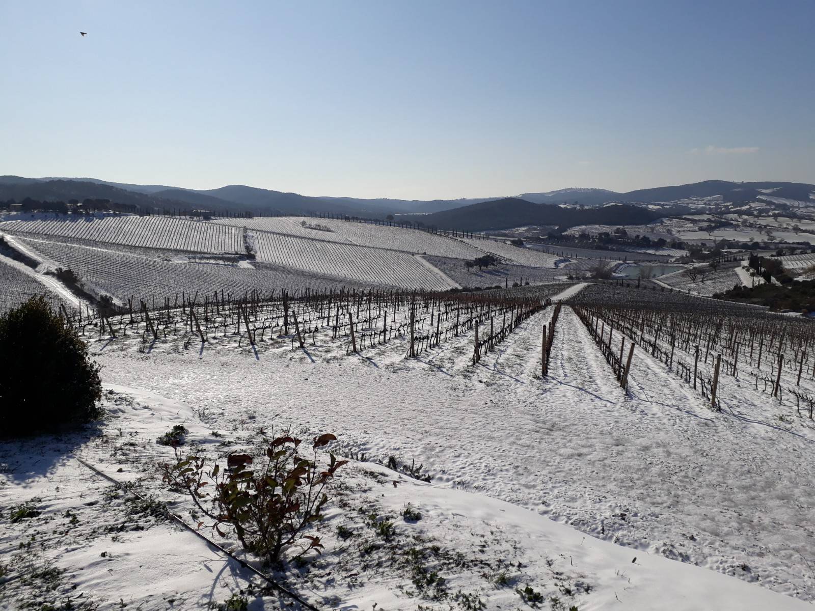 Private Premium Wine Tour