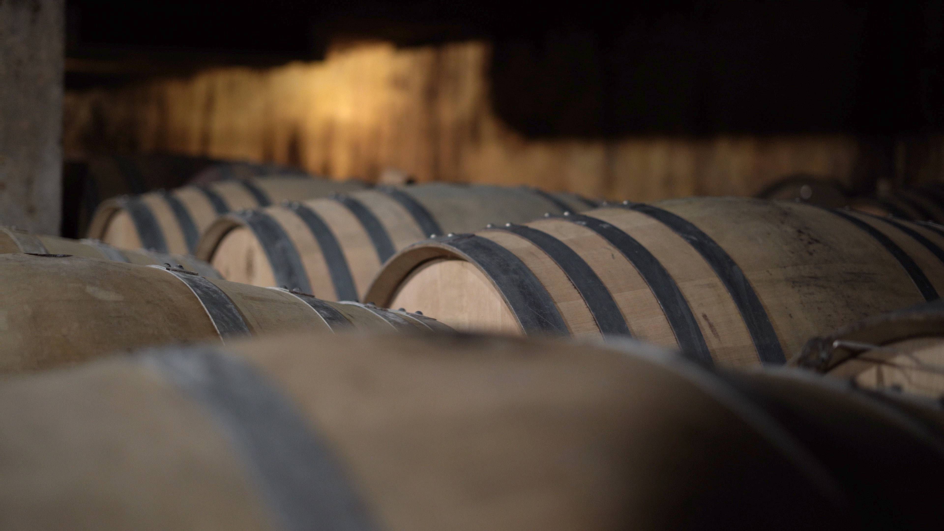 Wine diving in Mercurey