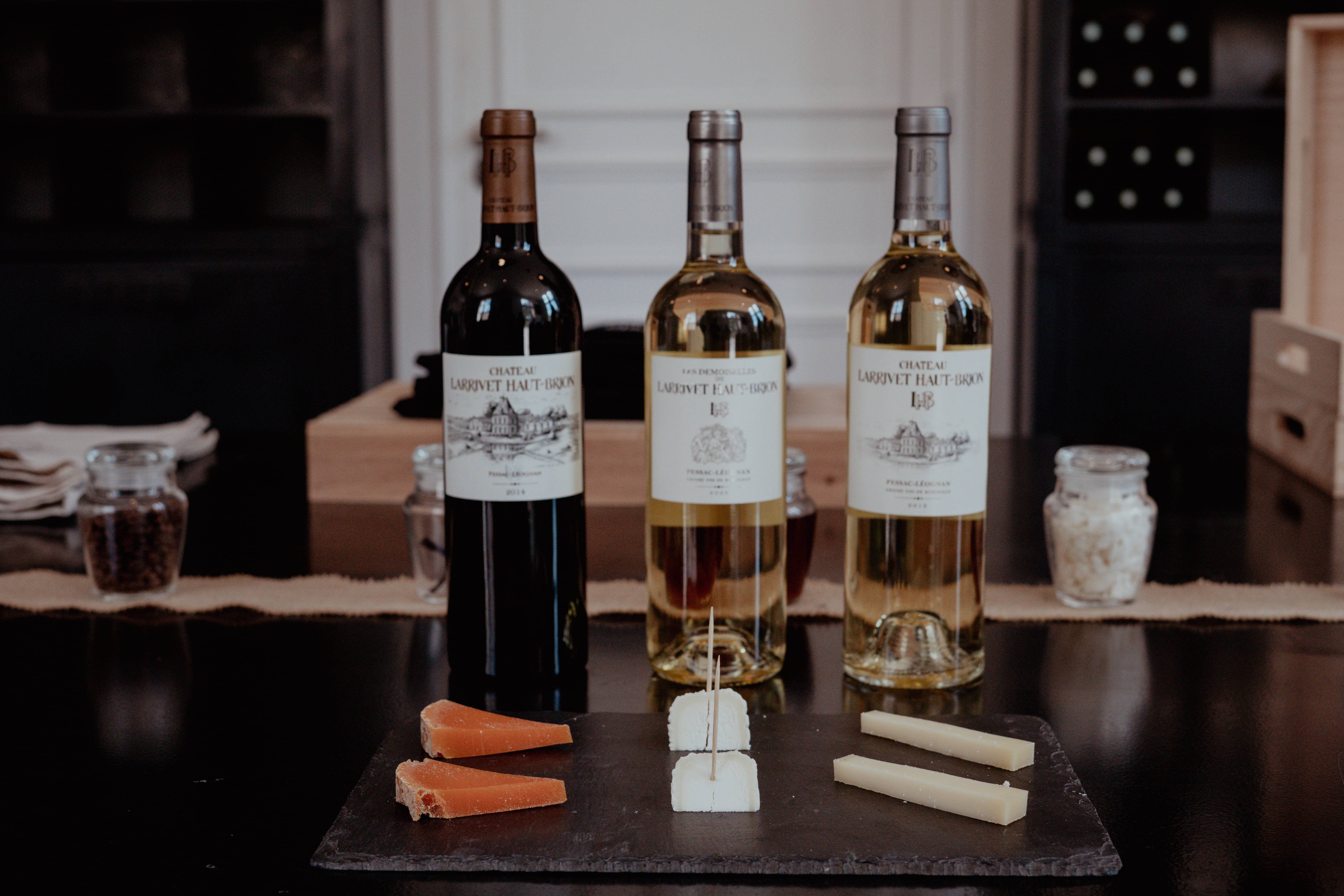 Crazy Cheese Taste Buds