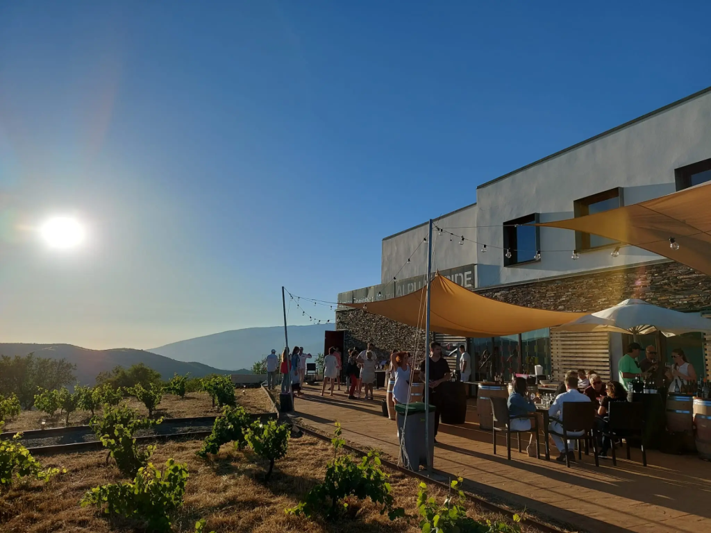 Big Tasting Experience