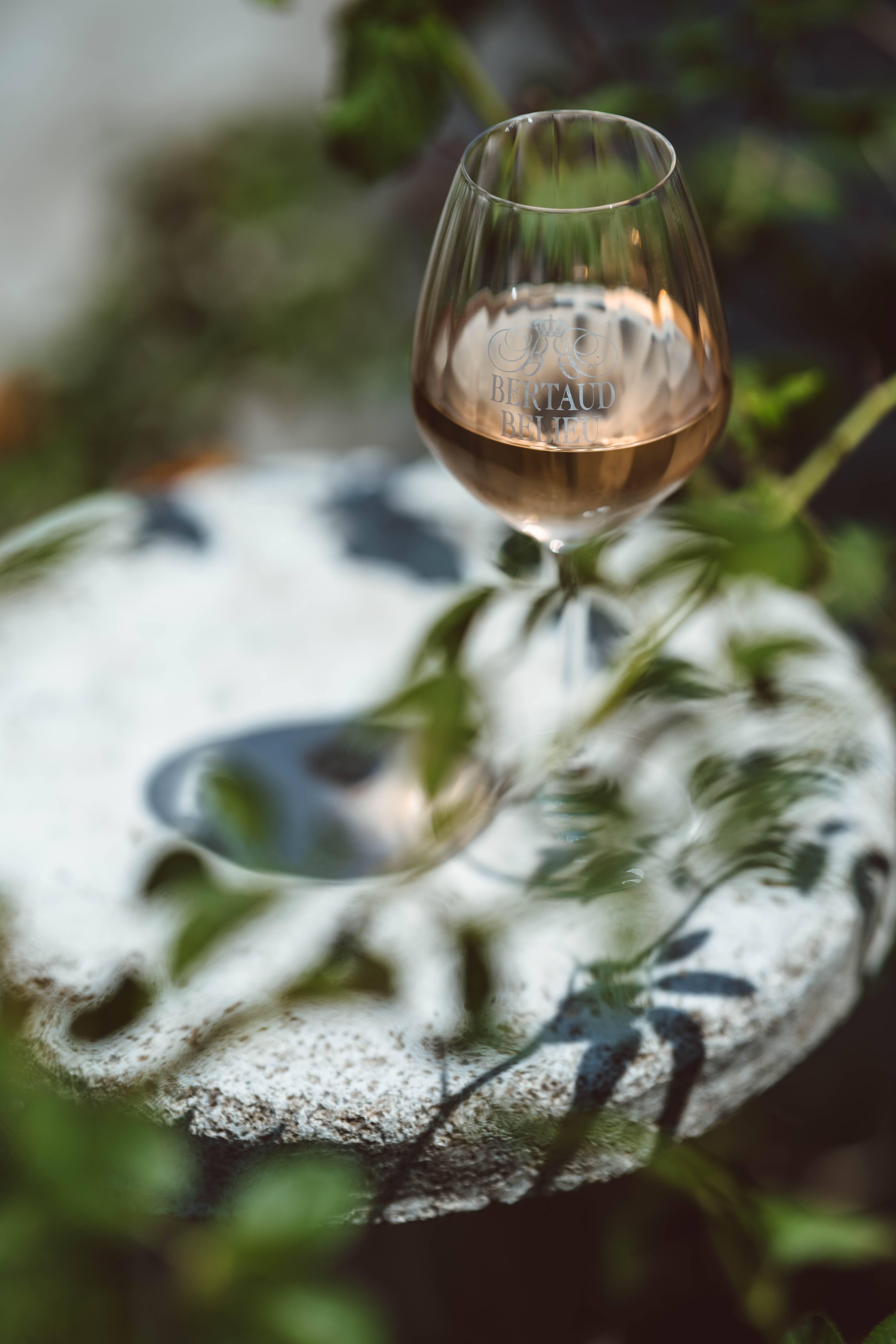 Signature Tour & Tasting