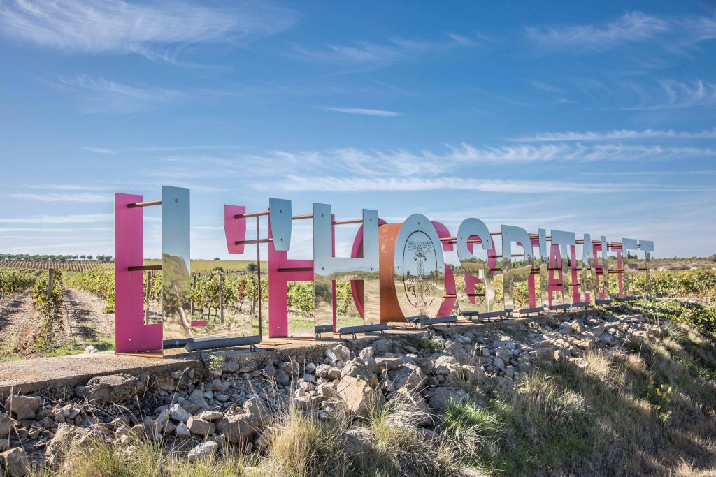 Group visit and tasting of 4 wines