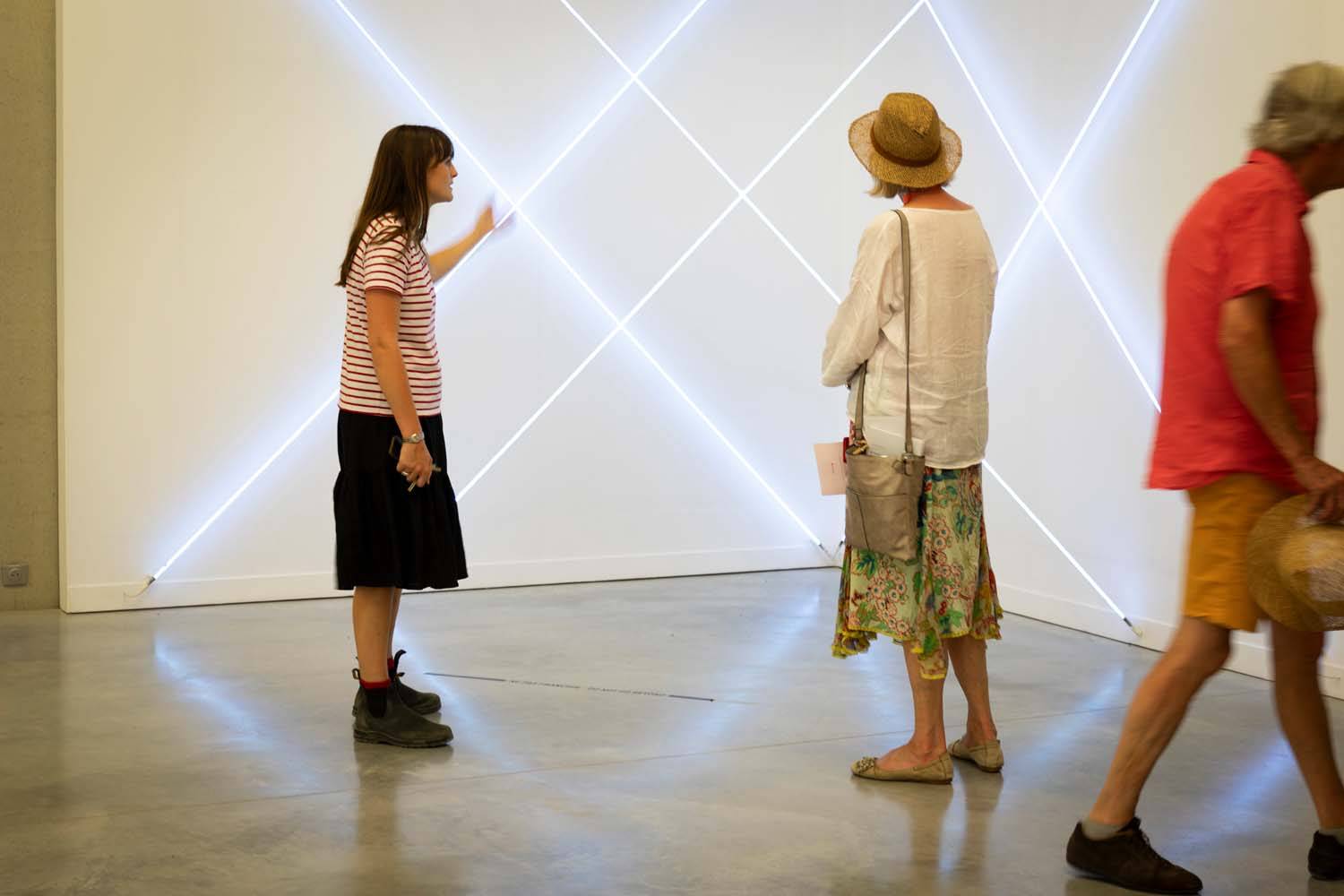 Guided Tour of the sculptures & private collection