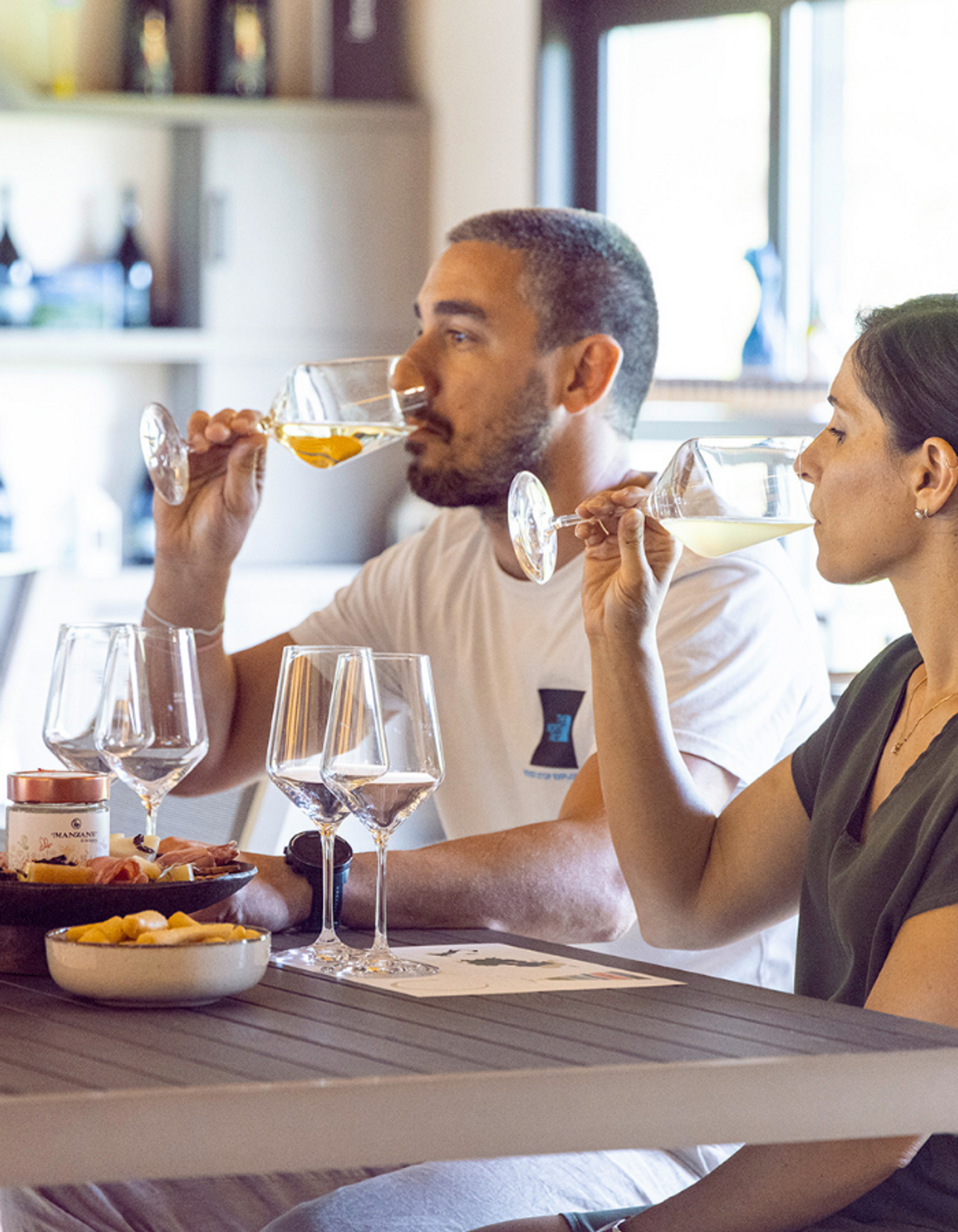 Vineyard visit and cellar tasting
