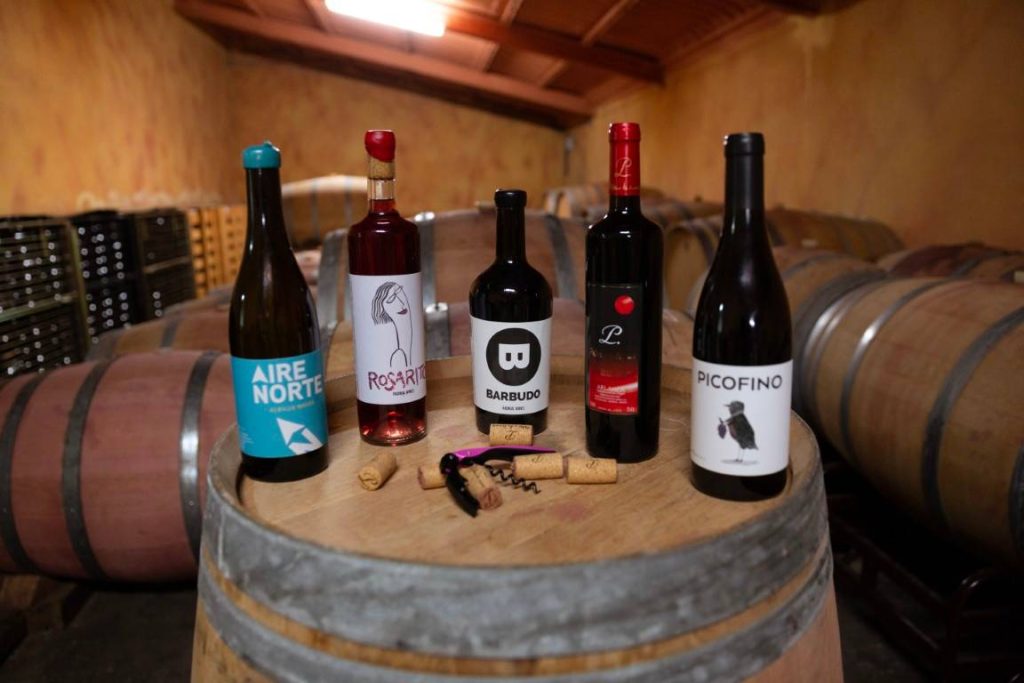 Winery visit and wine tasting