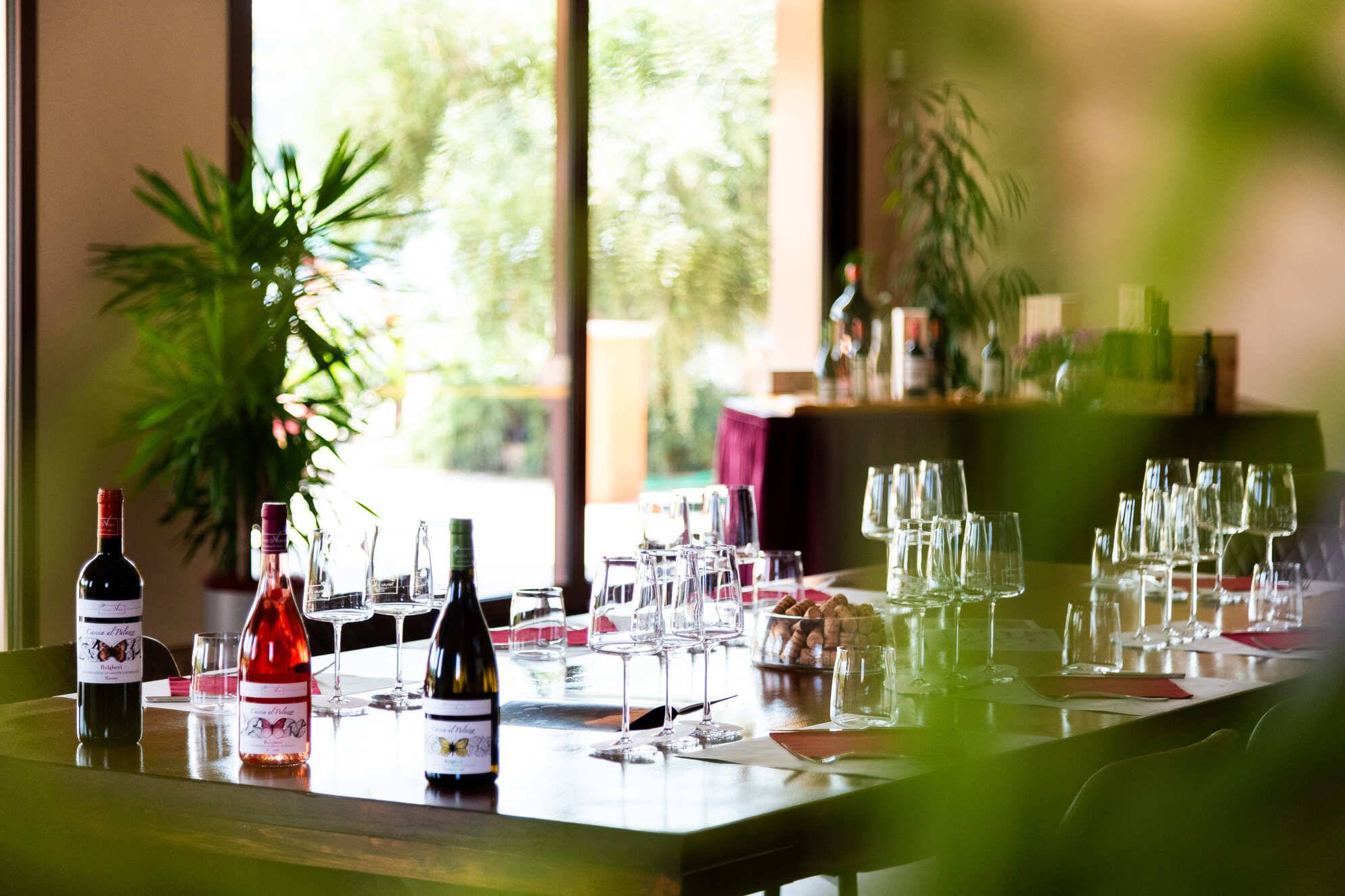 Bolgheri Essentials – Visit and Tasting