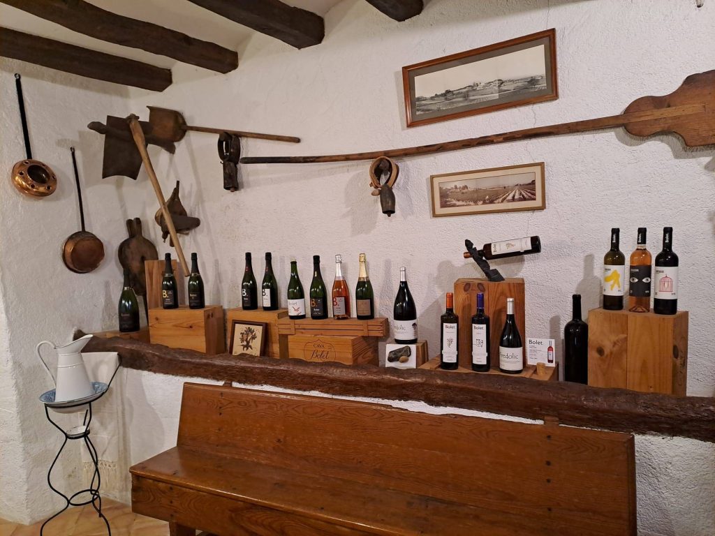 Visit with tasting of organic wines and cavas