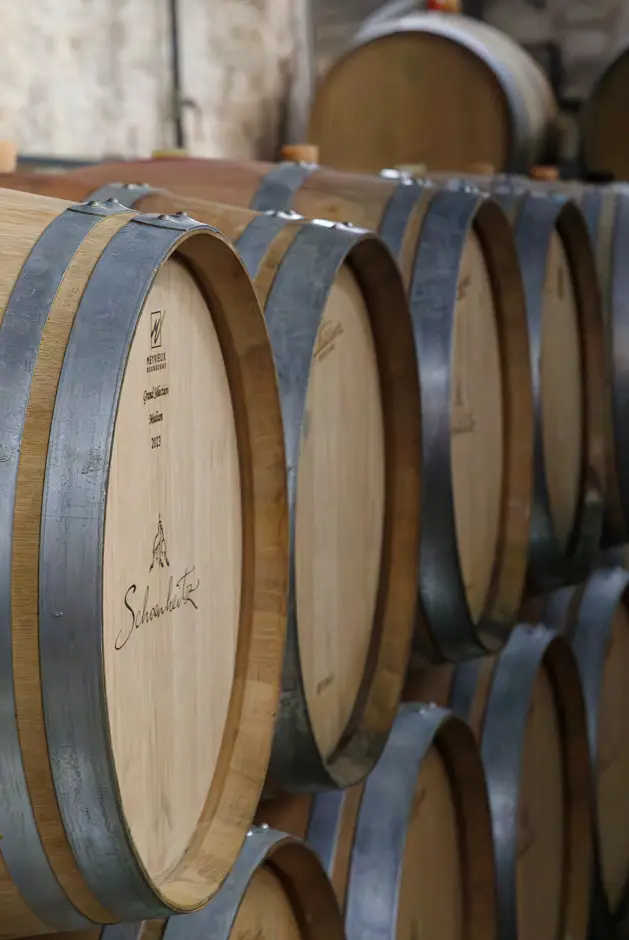 Cellar visit and tasting