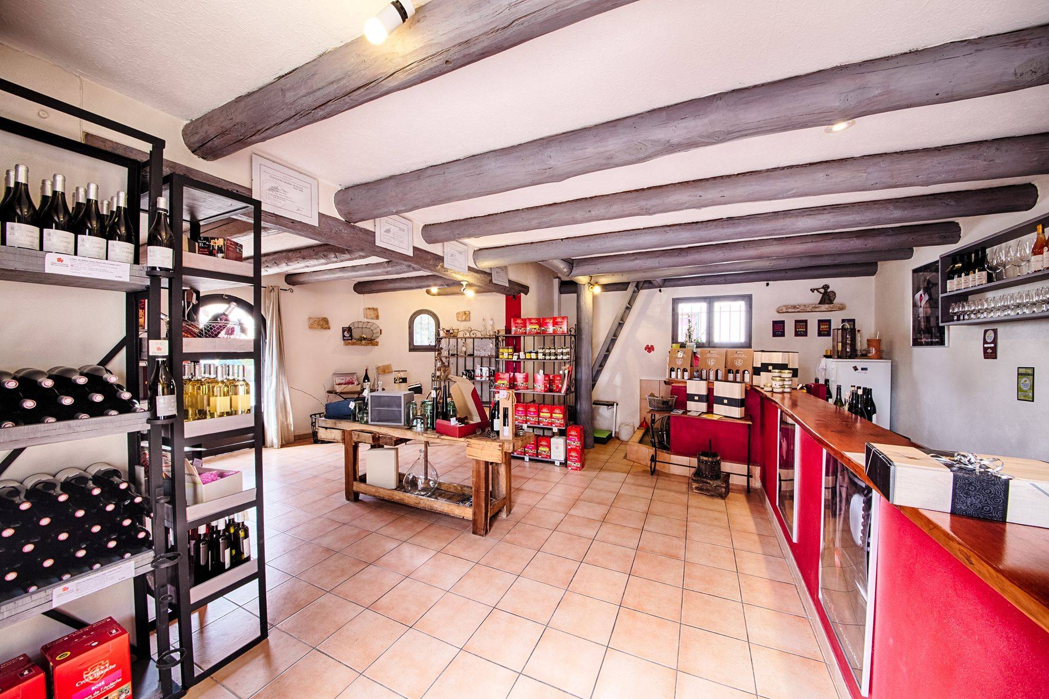 Cellar visit and tasting of our organic wines