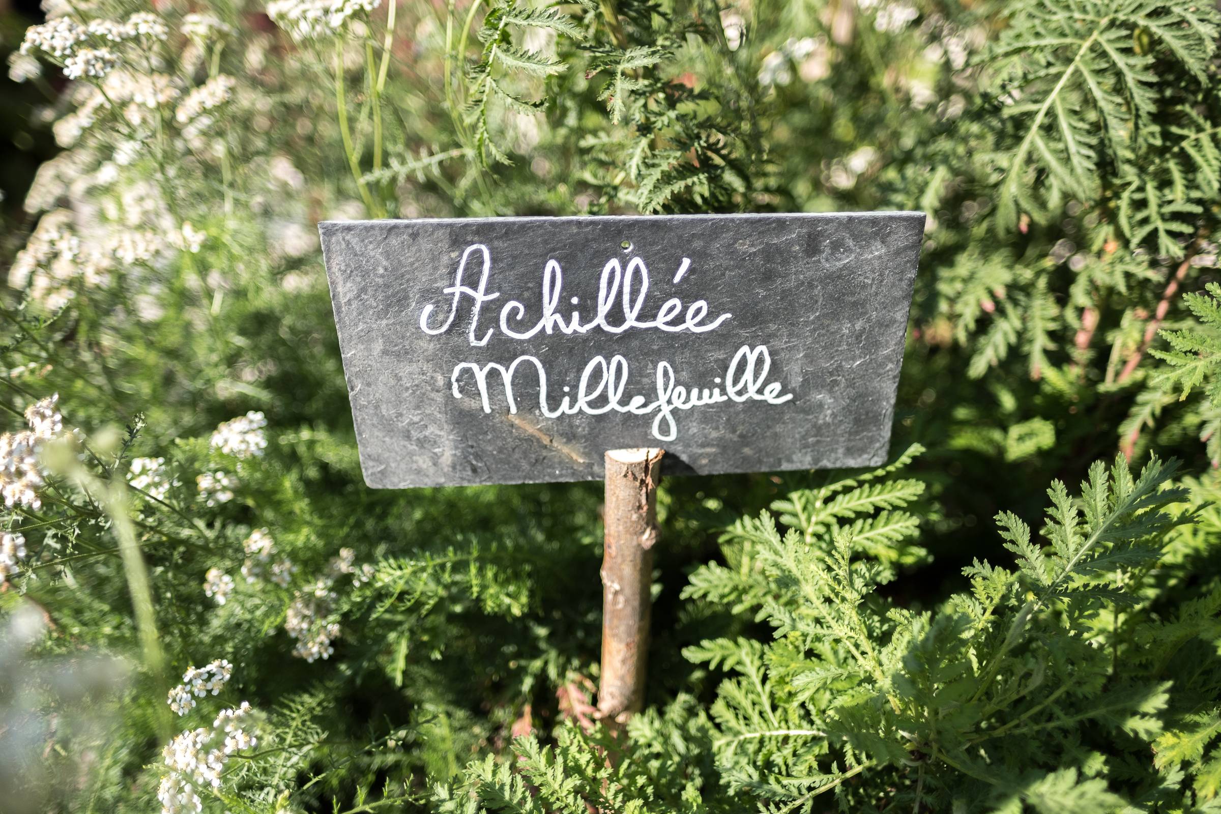 Sensory game in “The Aromatic Garden” – Game and Tasting