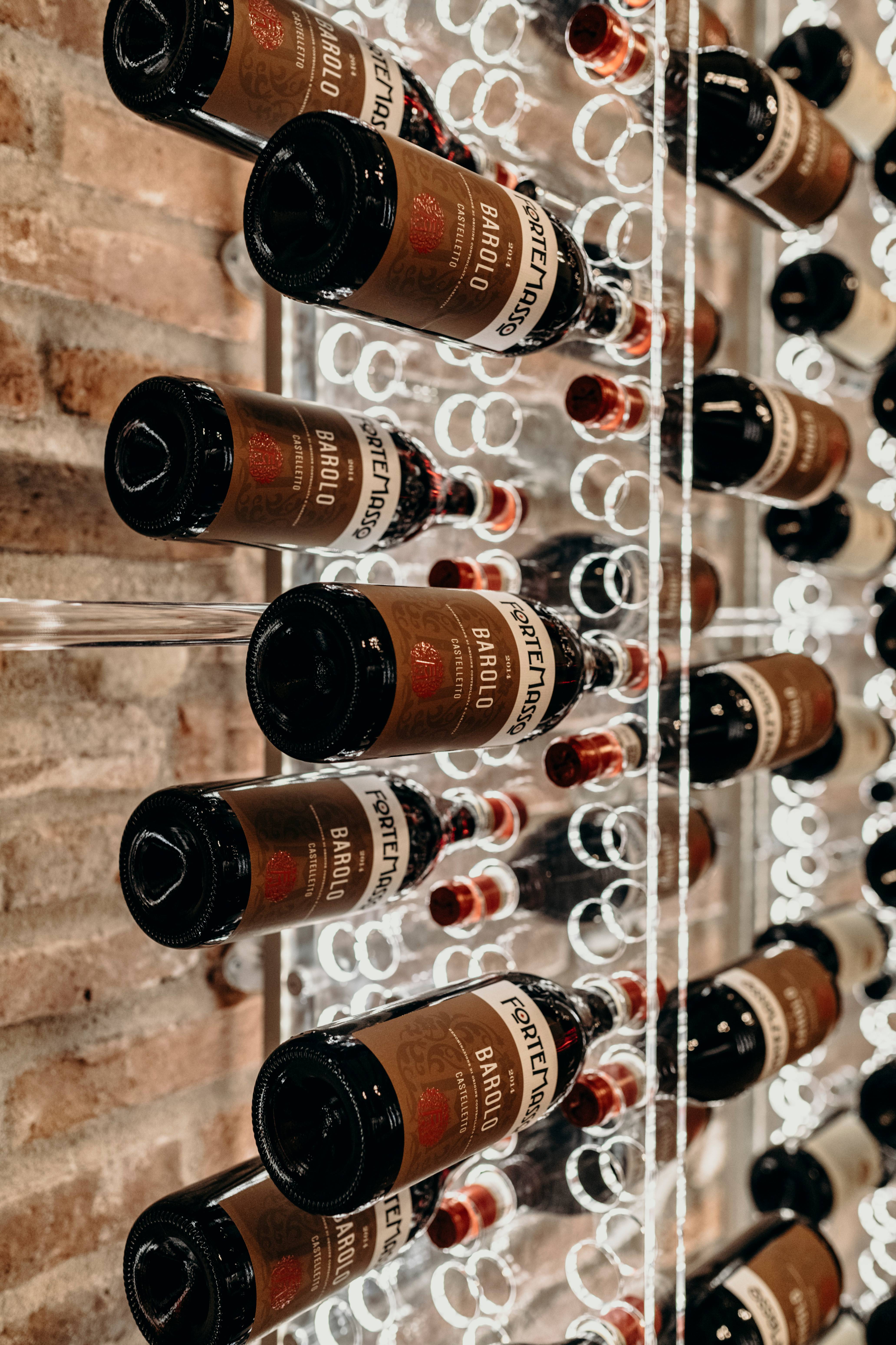 Barolo Full Immersion