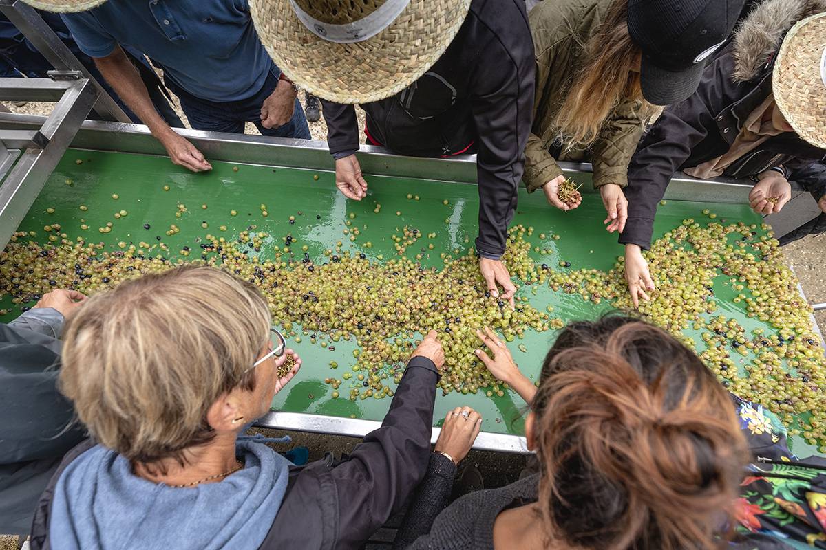 Harvest Day – Saturday, September 19, 2026