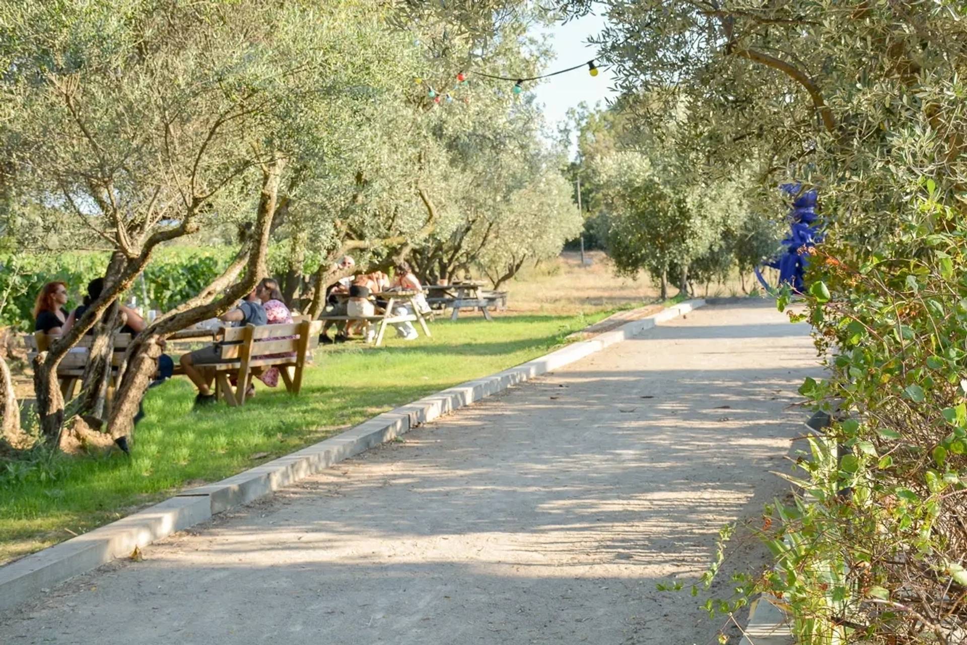 Tasting & Country Brunch