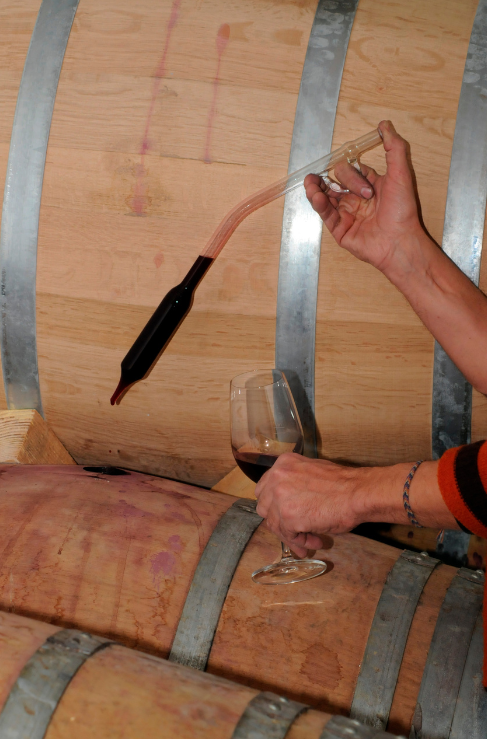 Blend your own bottle