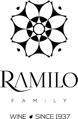 MANUEL FRANCISCO RAMILO & FILHO, LDA