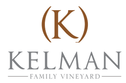 JULIANA KELMAN UNIPESSOAL, LDª