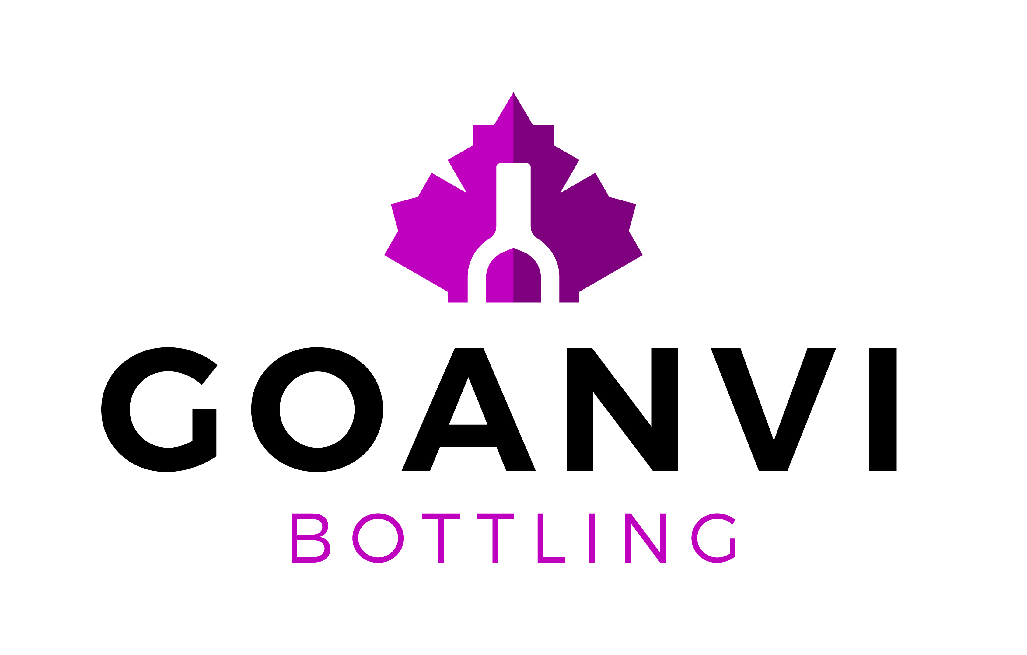 GOANVI, BOTTLING LDA