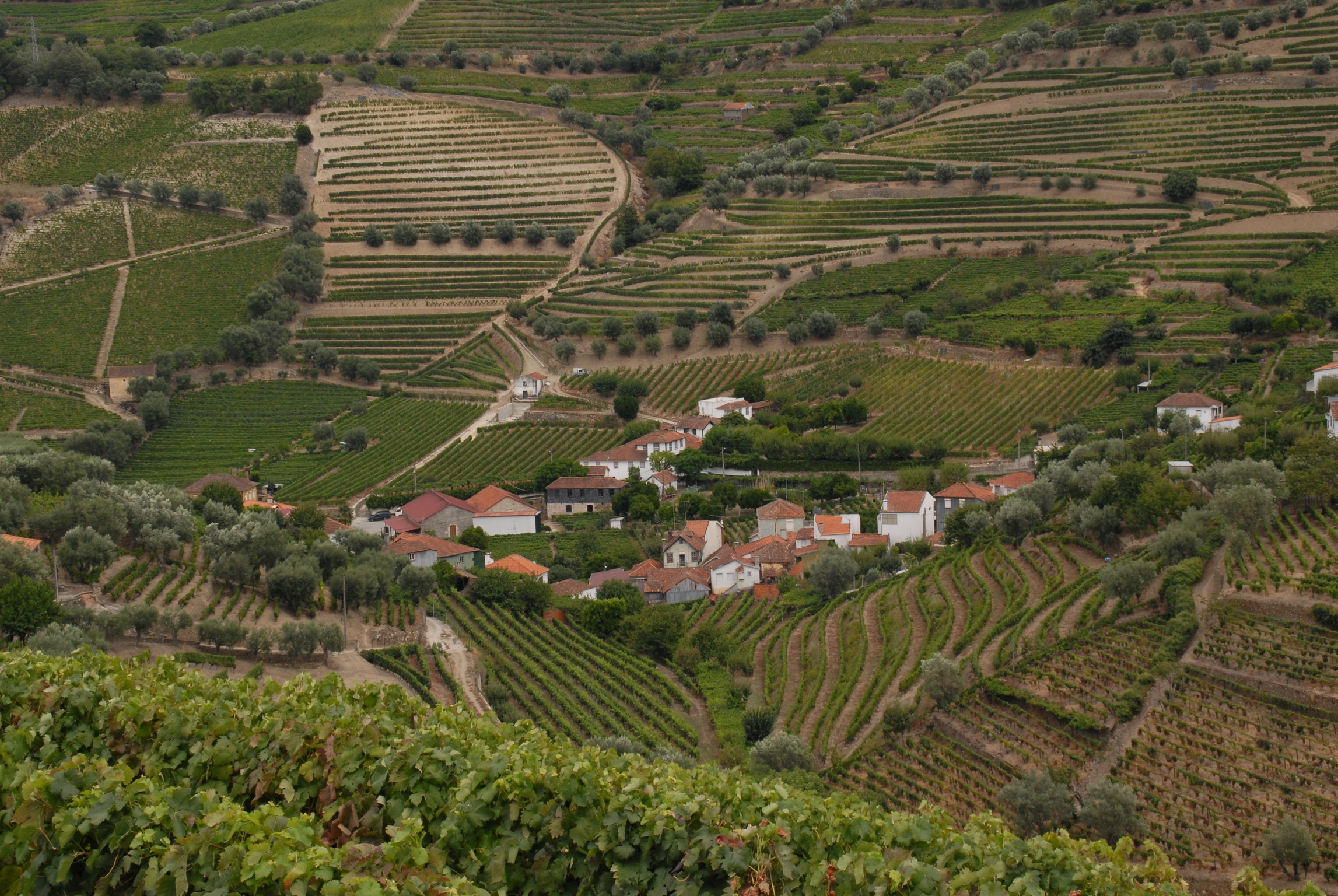 JOSÉ ANTÓNIO FONSECA AUGUSTO GUEDES UNIP., LDA.