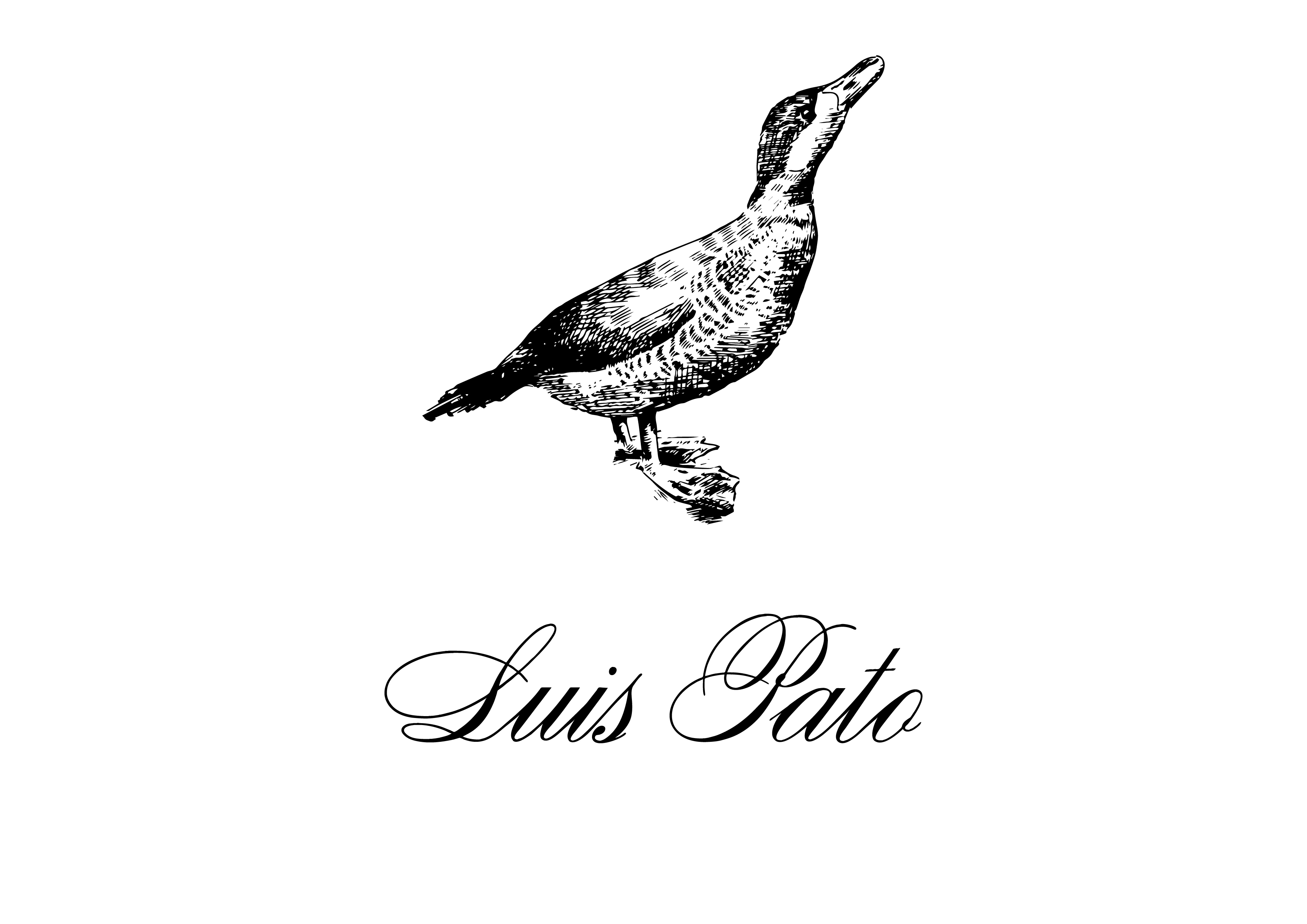 LUÍS PATO, UNIPESSOAL, LDA.