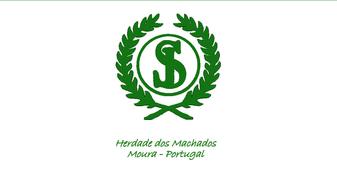 CASA AGRÍCOLA SANTOS JORGE, SA