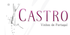 CASTRO SOCIEDADE AGRO PECUÁRIA DE CAVALOES, LDA