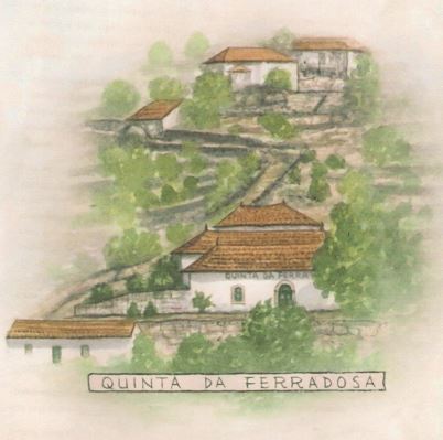 QPF SOCIEDADE AGRICOLA, SA