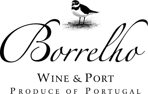 CASA ANGOLA INTERNACIONAL, S.A.