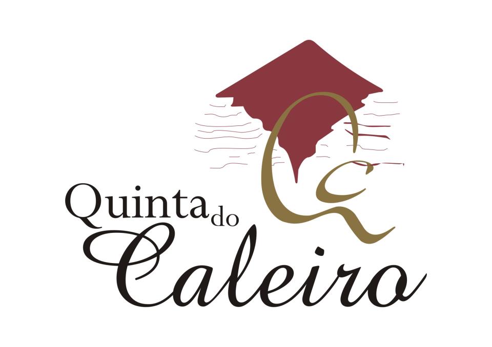 JOSÉ MANUEL ALVES TEIXEIRA