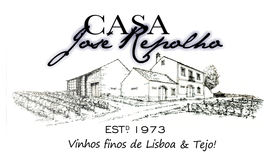 JOSE REPOLHO-VINHOS DISTINTOS LDA