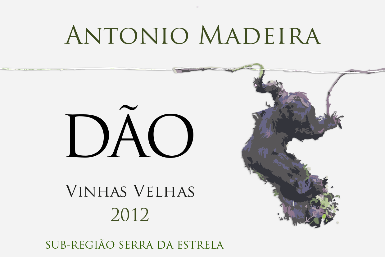 ANTONIO JOSE MADEIRA