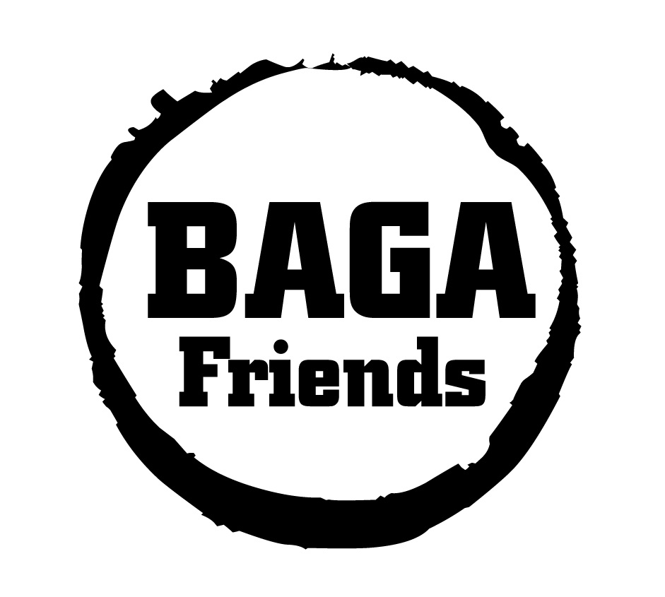 BAGA FRIENDS ASSOCIAÇÃO