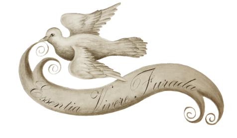 DUARTE NUNO ALEGRE DE SOUSA OLIVEIRA