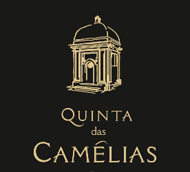 JAIME DE ALMEIDA BARROS LDA