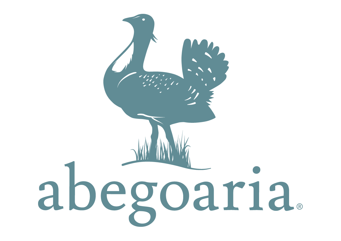 ABEGOARIA COMERCIAL, SA