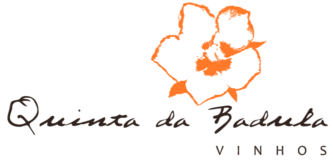 QUINTA DA BADULA, LDA