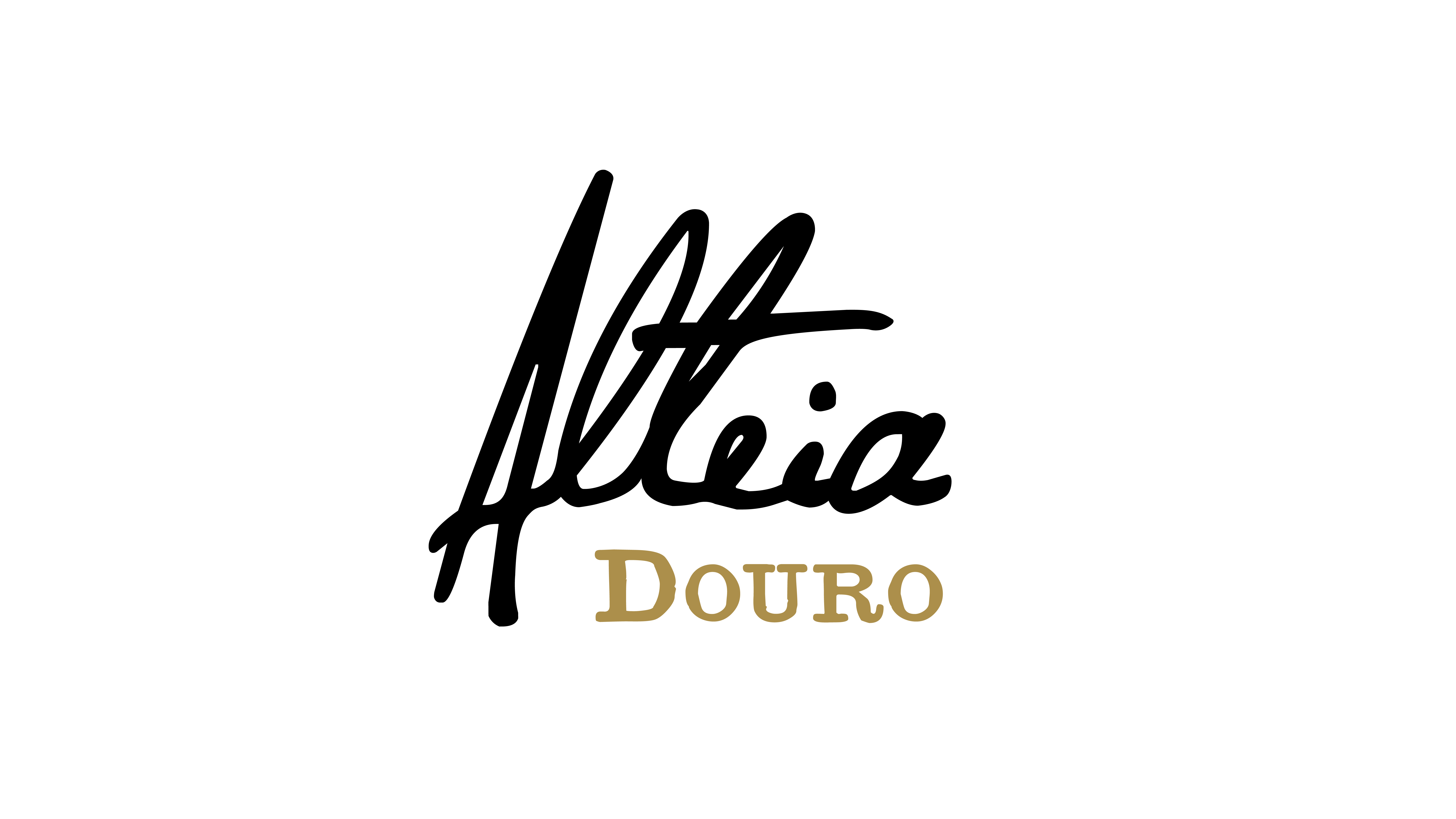 FAUSTO JOSÉ MONTENEGRO VIEIRA CARDOSO