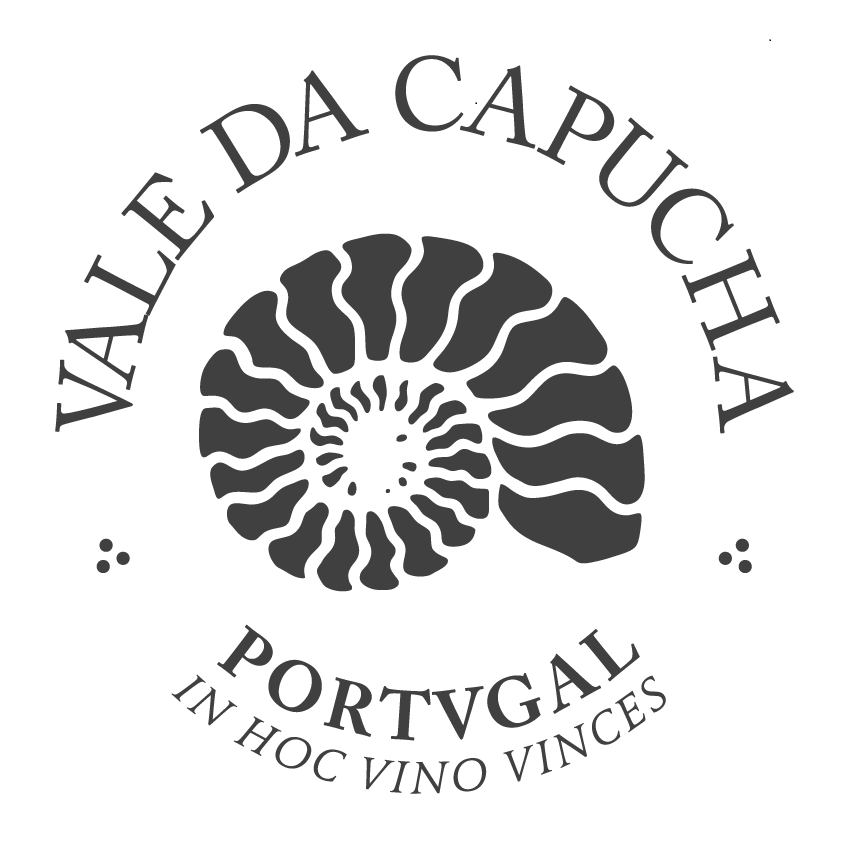 VALE DA CAPUCHA – AGRICULTURA E TURISMO RURAL LDA