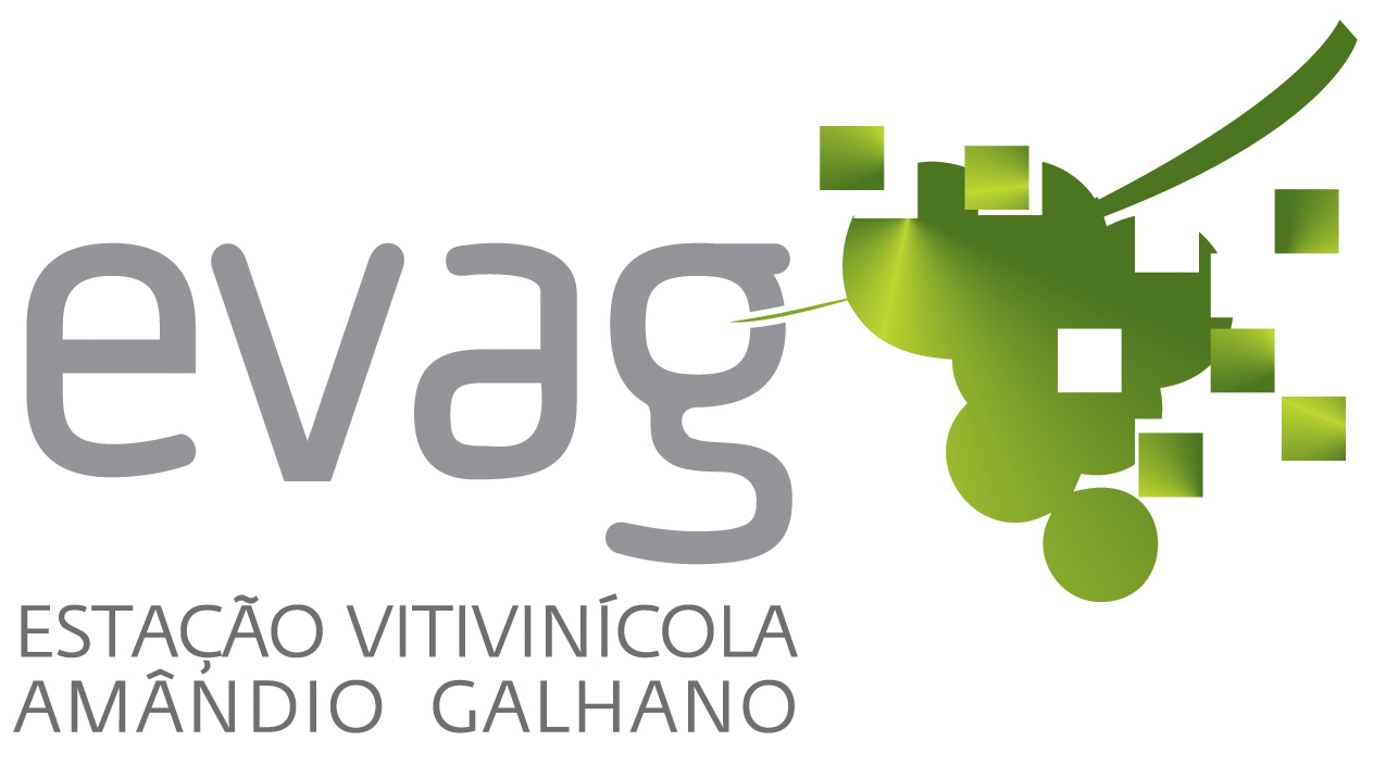 QUINTA CAMPOS DE LIMA – AGROTURISMO UNIPESSOAL LDA